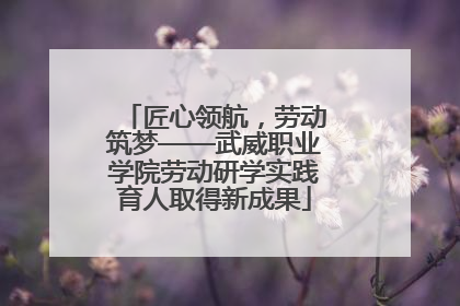 匠心领航，劳动筑梦——武威职业学院劳动研学实践育人取得新成果